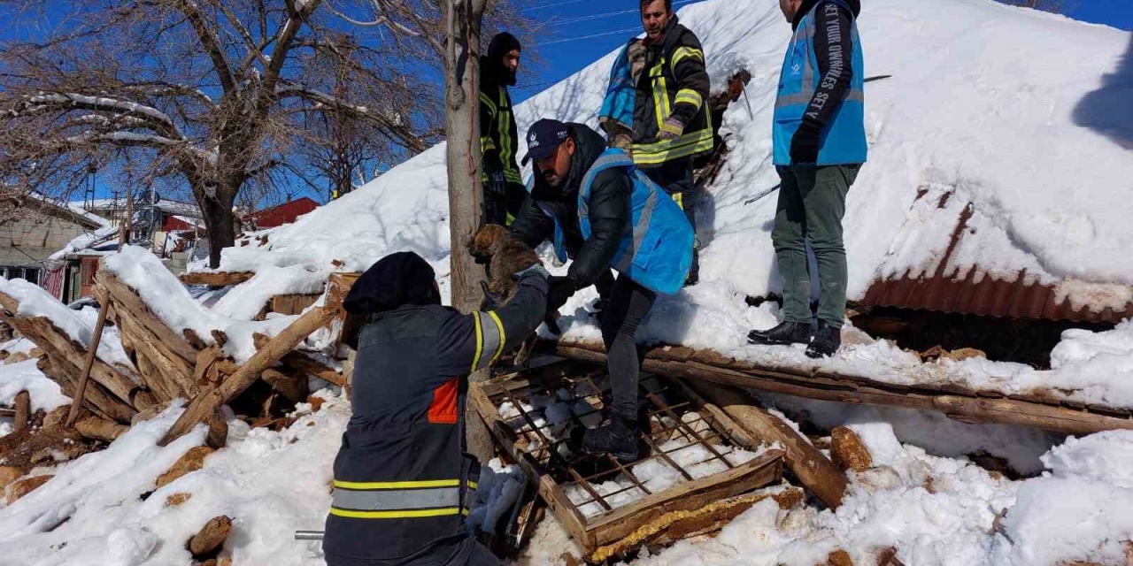 Alt Nordu Arama Kurtarma Ekibi Deprem B Lgesindeki Al Malar N S Rd R Yor