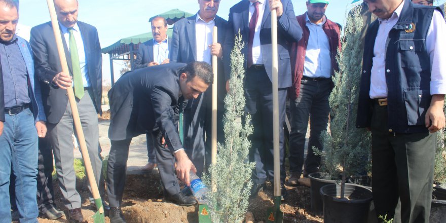 Kahta’da, 2 bin 500 fidan toprakla buluştu