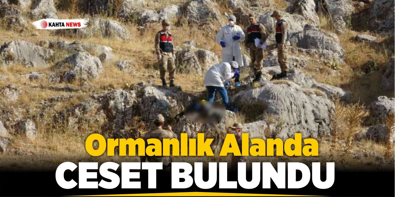 Ormanlık Alanda Ceset Bulundu