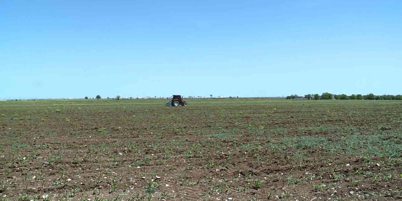 Diyarbakır Ve Çevresinde Etkili Olan Yağışlar Çiftçinin Yüzünü Güldürecek
