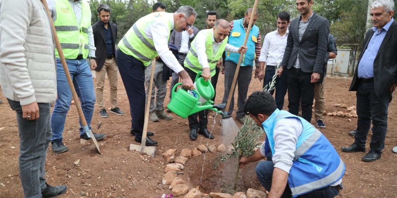 Eyyübiye’deki Okullarda Ağaçlandırma Seferberliği Başladı