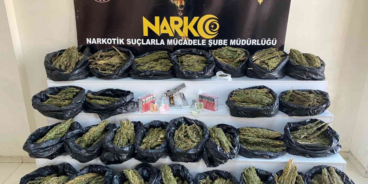 Gaziantep’te 31 Kilo Esrar Ele Geçirildi