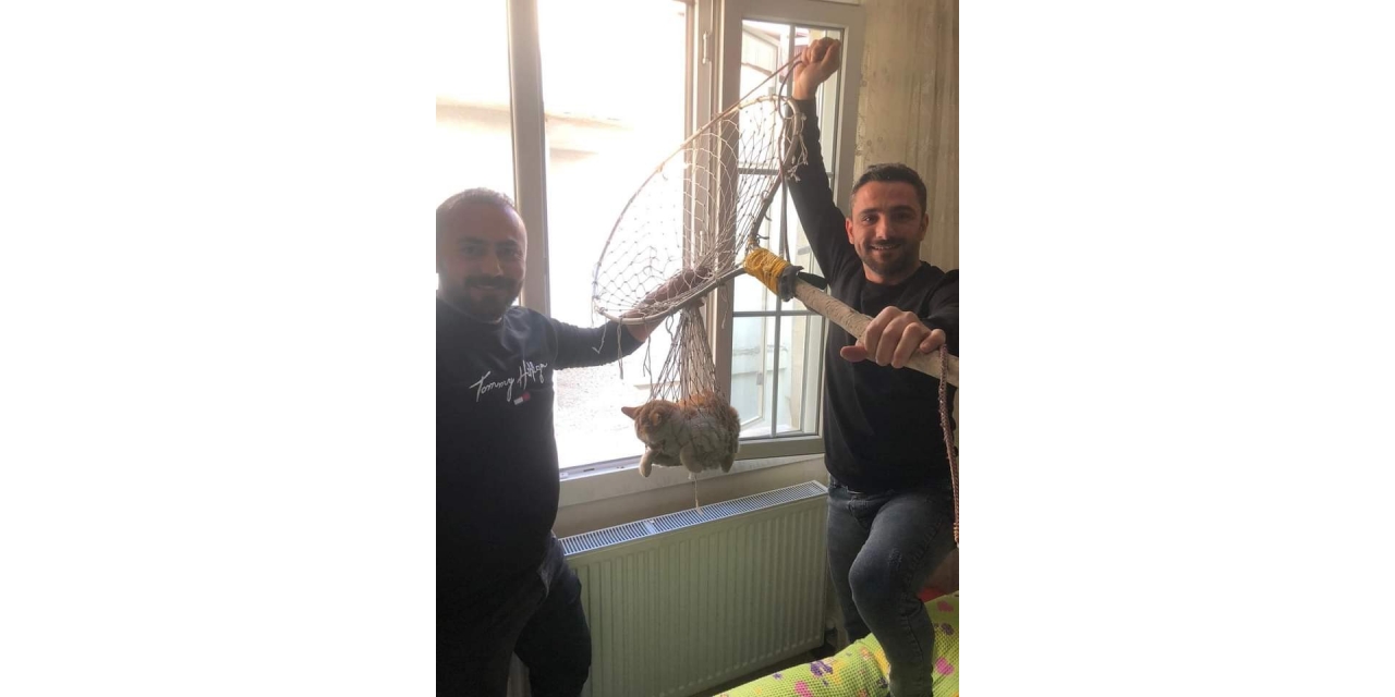 Vatandaşlar 6. Katta Mahsur Kalan Kediyi Kurtardı