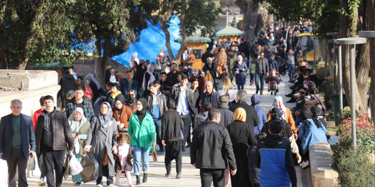 Kış Ortasında Güneşin Tadını Çıkardılar
