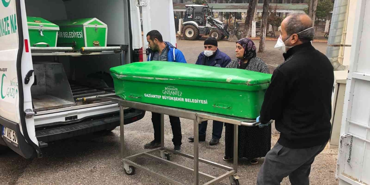 Köpekleri Uzaklaştırmak İsterken 5 Yaşındaki Kardeşini Vurdu