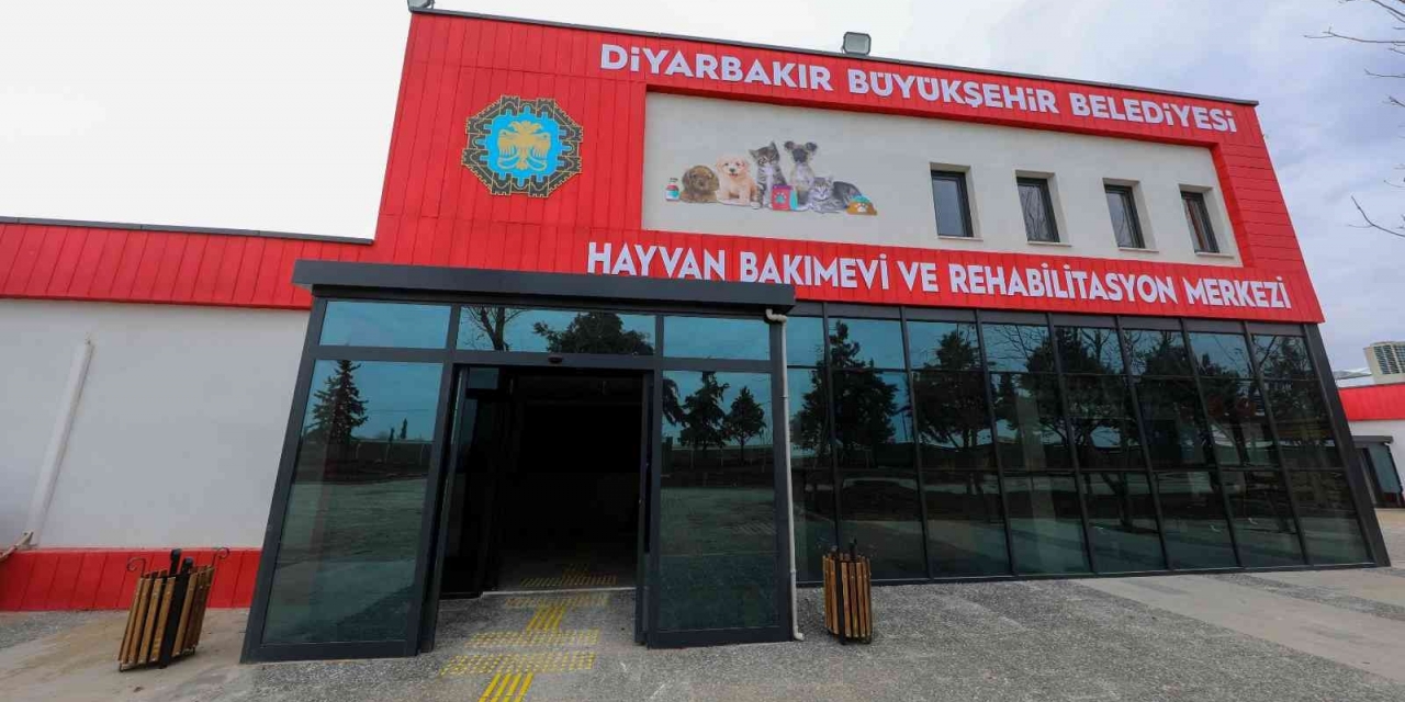 Diyarbakır’da ‘can Dostlarımızın’ 5 Yıldızlı Yuvası Açılıyor