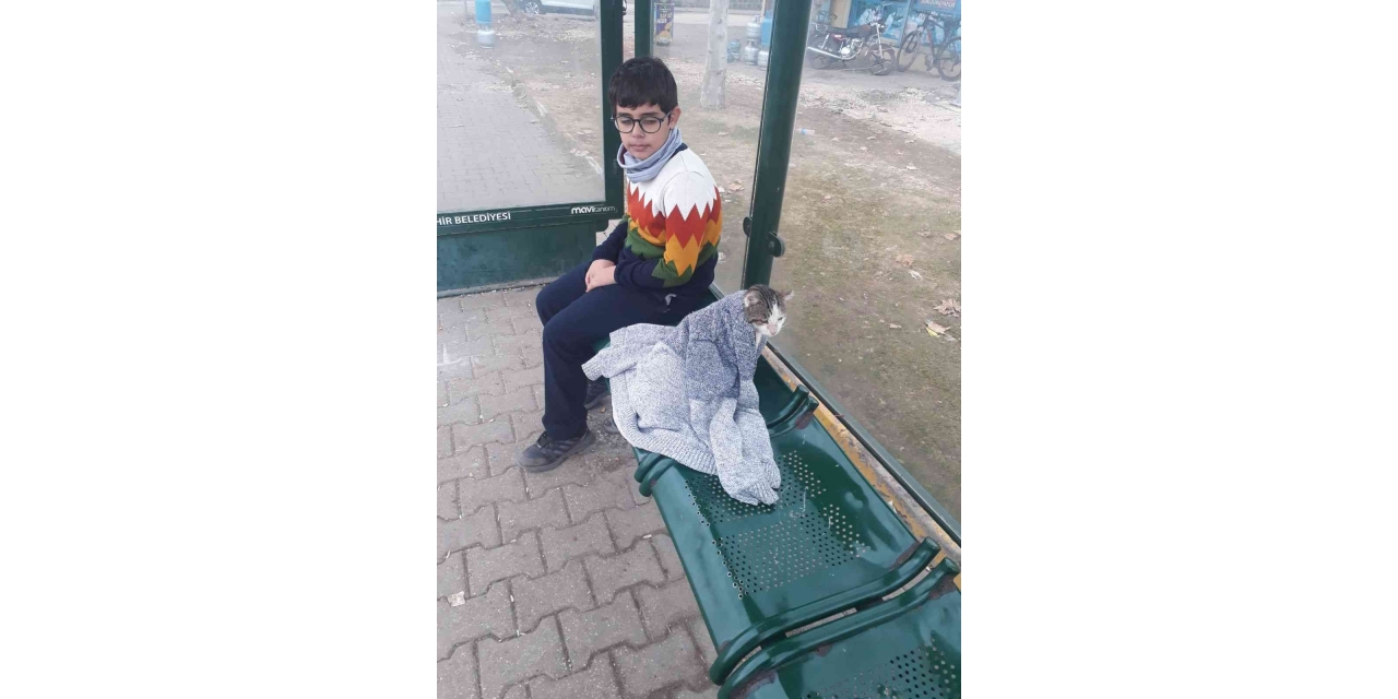 Soğukta Üşüyen Kediyi Hırkasıyla Isıtmaya Çalıştı