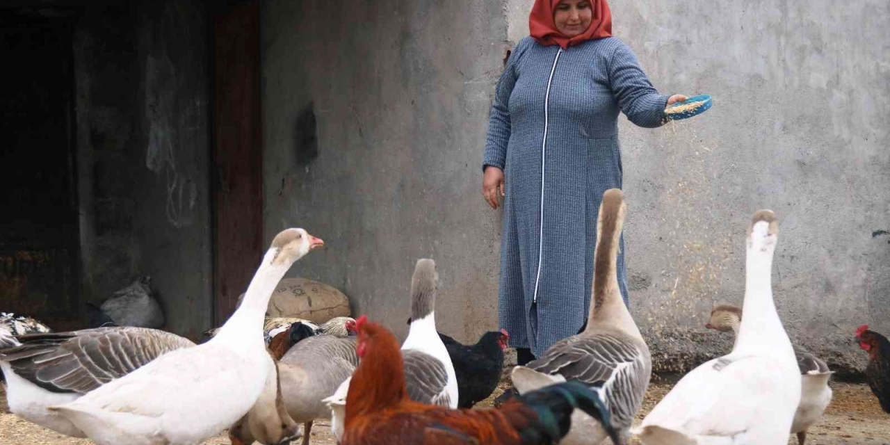 Diyarbakır’da Kırsal Mahallenin ‘tek Kadın Muhtarı’ Koltuğu Eşinden Aldı