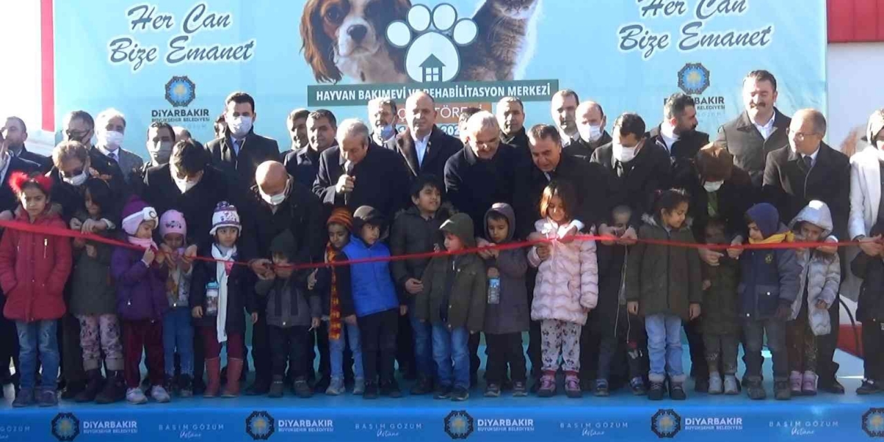 Diyarbakır Ve Çevresinde Bulunan Sokak Hayvanları İçin 5 Yıldızlı Yuva Açıldı
