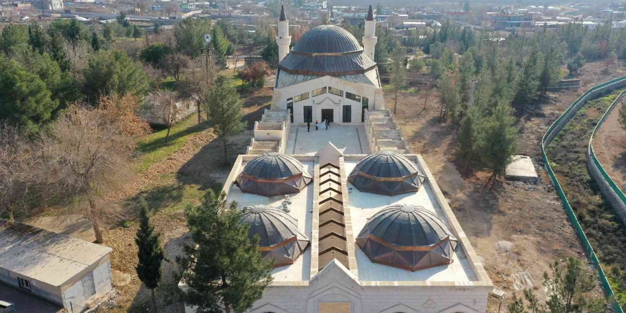 Sabır Evlerinde Ağaçlandırma Çalışması Başlatıldı