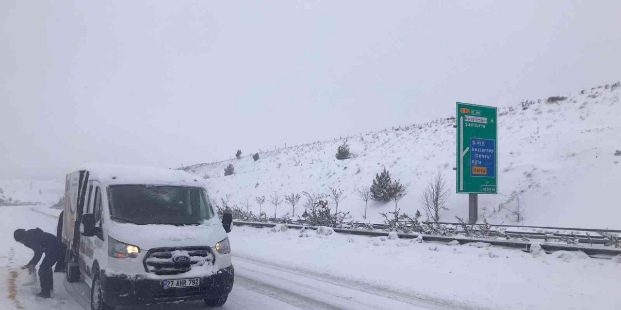 Büyükşehir Belediye Ekipleri Sokak Hayvanlarını Unutmadı