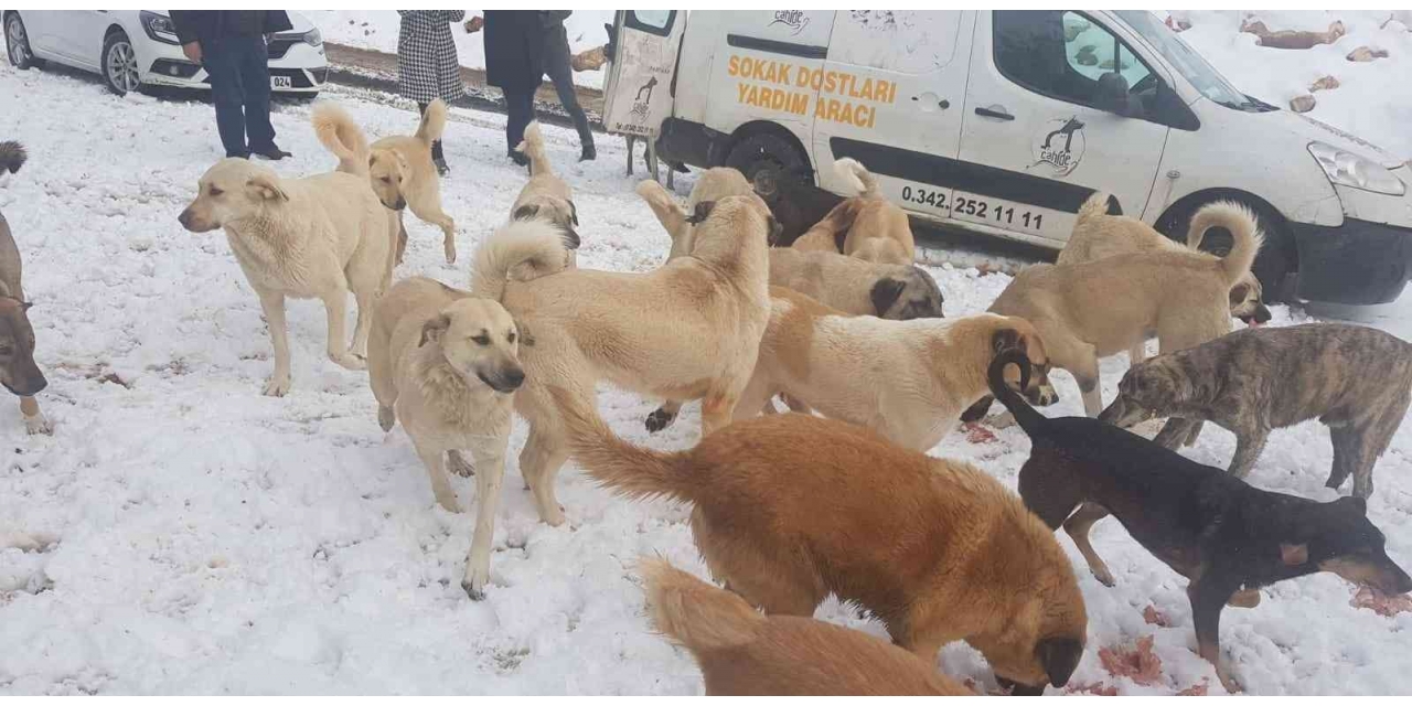 Cahide Karda Can Dostların Yanında