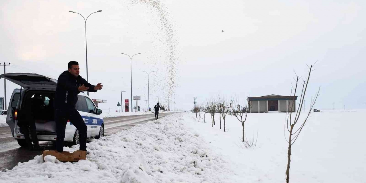 Araban Belediyesi Yaban Hayvanlarını Unutmadı
