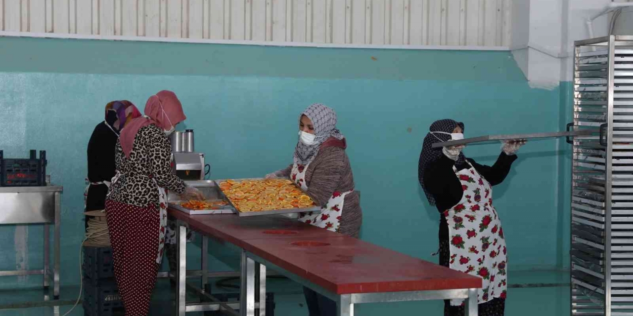 Oğuzelili Kadınlar Kurutulmuş Meyve İhracatı Hazırlığında