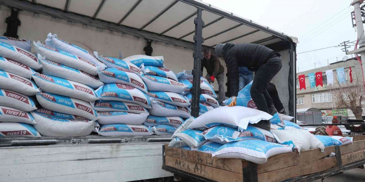 Şahinbey’den Hayvan Yetiştiricilerine 8 Bin Ton Yem Desteği