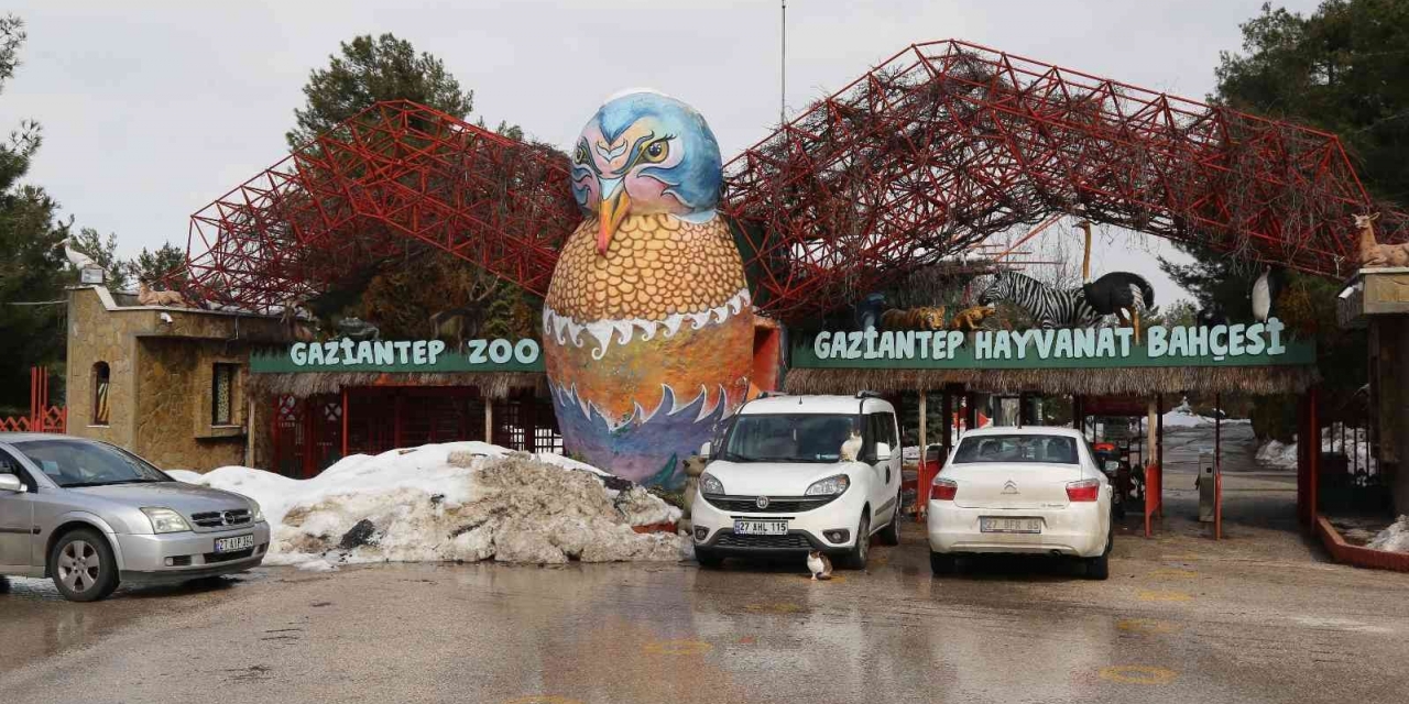 2021’de Gaziantep Hayvanat Bahçesini 2 Milyon 750 Bin Kişi Ziyaret Etti