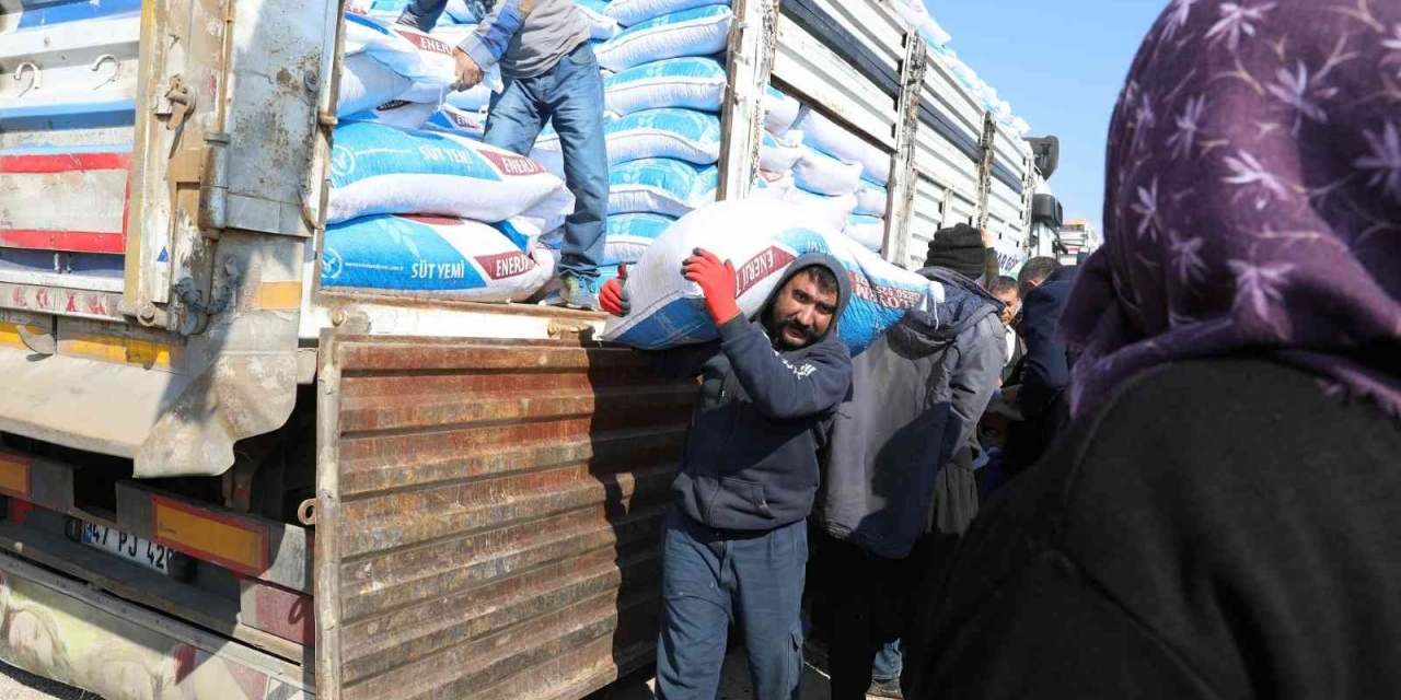 Besicilere Yüzde 100 Hibeyle 375 Ton Yem Desteği