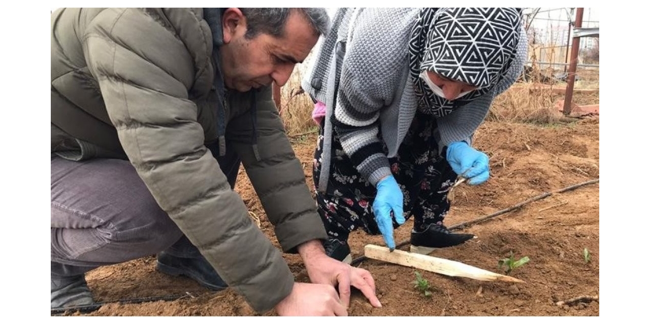Çiftçilere Mazot Ve Gübre Desteği Ödemeleri Başladı