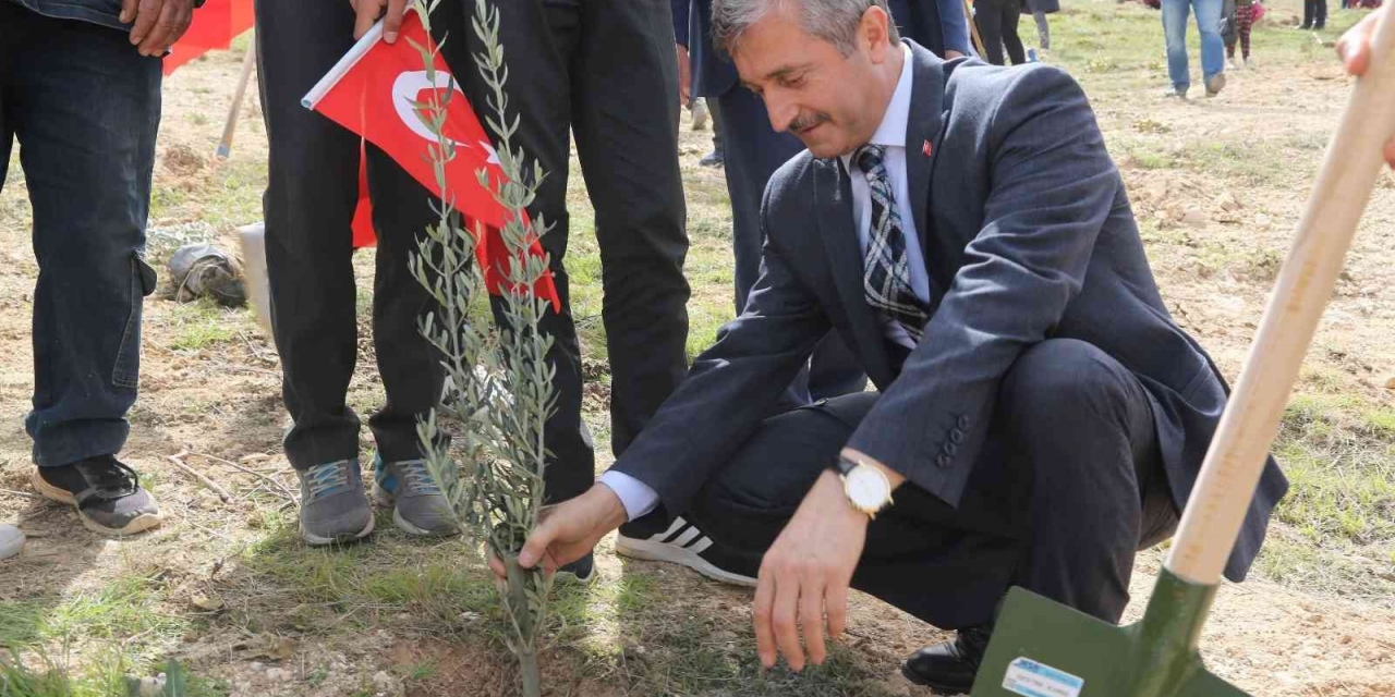Şahinbey’de 3 Milyon 968 Bin Fidan Toprakla Buluşturuldu