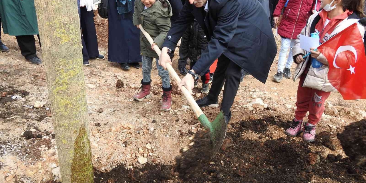 Şahinbey’de Ağaç Dikim Töreni Yapıldı