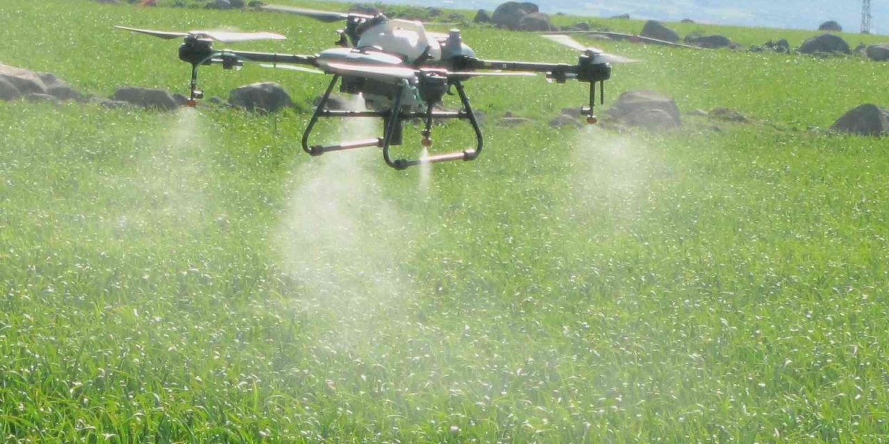 Araban’da Sarımsak Tarlaları Dronla İlaçlandı