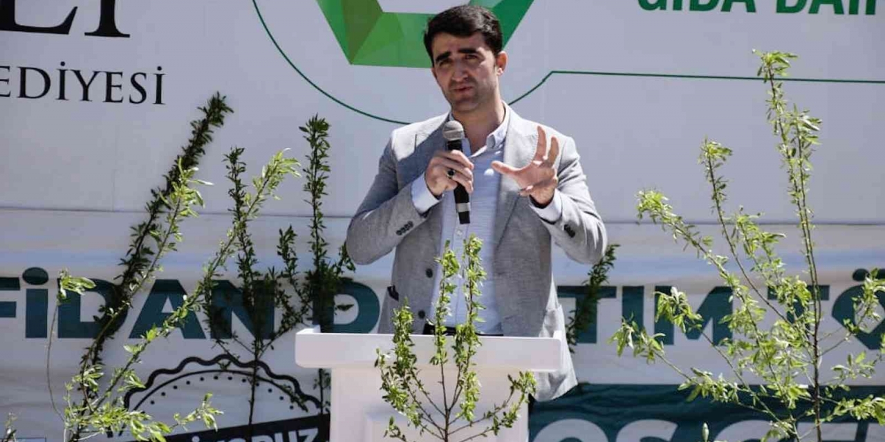 Büyükşehir Belediyesi 5 Bin Yağlık Zeytin Ve Badem Fidanı Dağıttı
