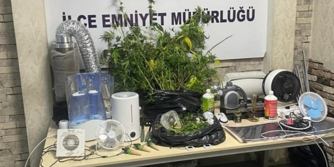 Evi Uyuşturucu Tarlasına Dönüştürdüler