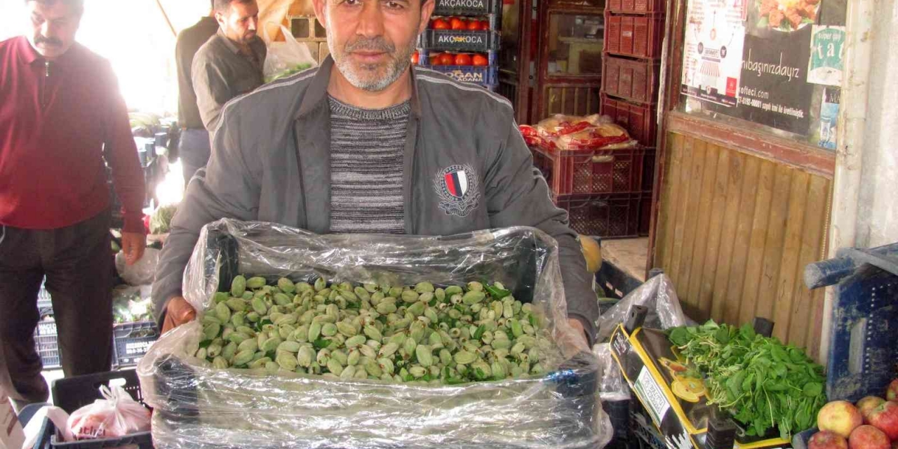Yılın İlk Yerli Badem Çağlası 25 Liradan Satışa Sunuldu
