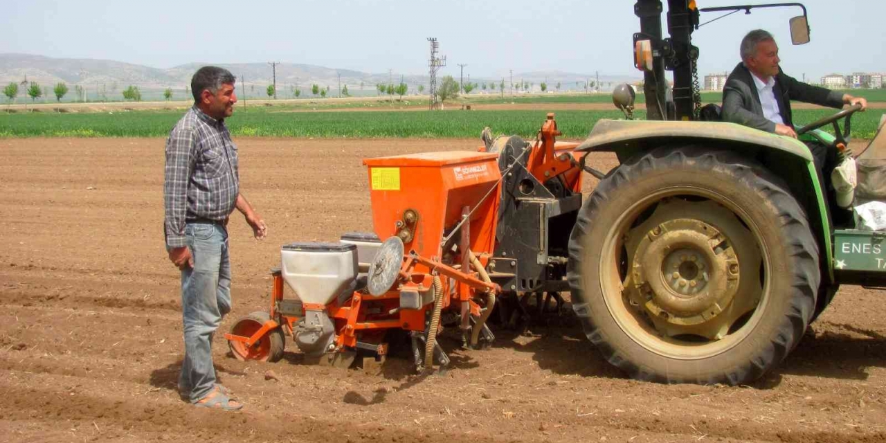 Bayrama Günler Kala Ekimine Başlandı