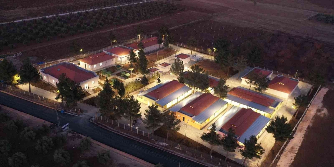 Gaziantep’te 4 Ayda 150 Sokak Hayvanına Yeni Yuva Bulundu