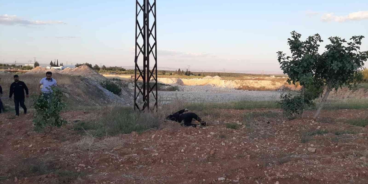 Hırsızlık Zanlısının Feci Sonu