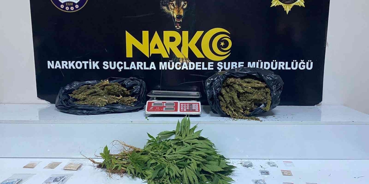 Gaziantep’te 3 Kilo Esrar İle 41 Kök Kenevir Ele Geçirildi