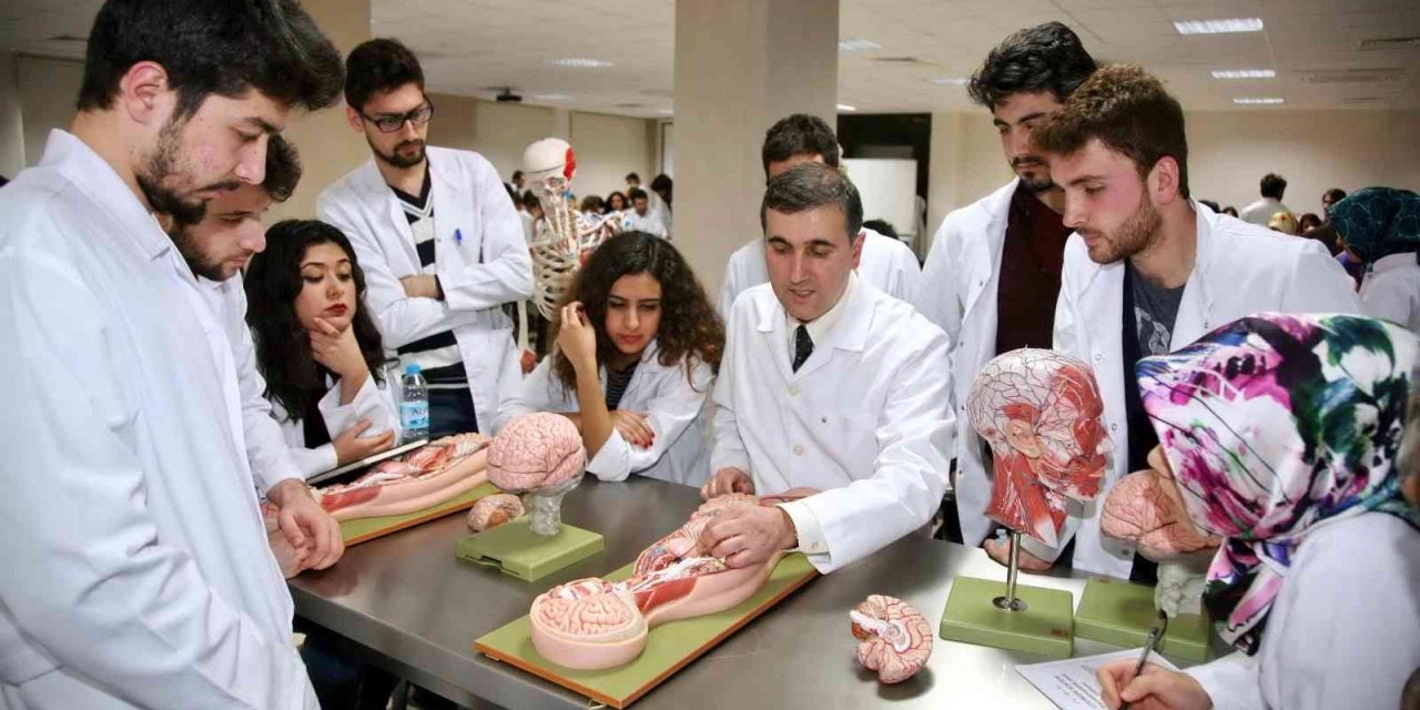 Gaün Tika İle Yurt Dışına Açılıyor