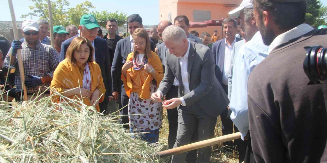 Araban’da Festival Coşkusu
