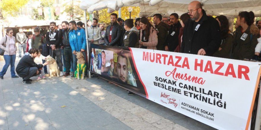 Hayatını Kaybeden Hayvan Sever Murtaza’nın Anısına Mama Dağıtıldı