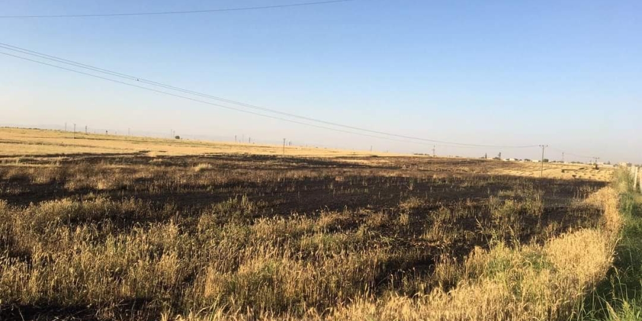 Şanlıurfa’da 80 Dönüm Buğday Tarlası Yandı