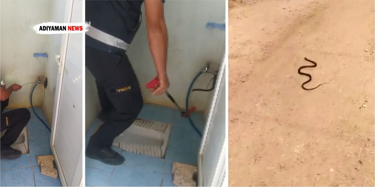 Duvardaki Su Borusu Deliğinde Yılan Yakalandı