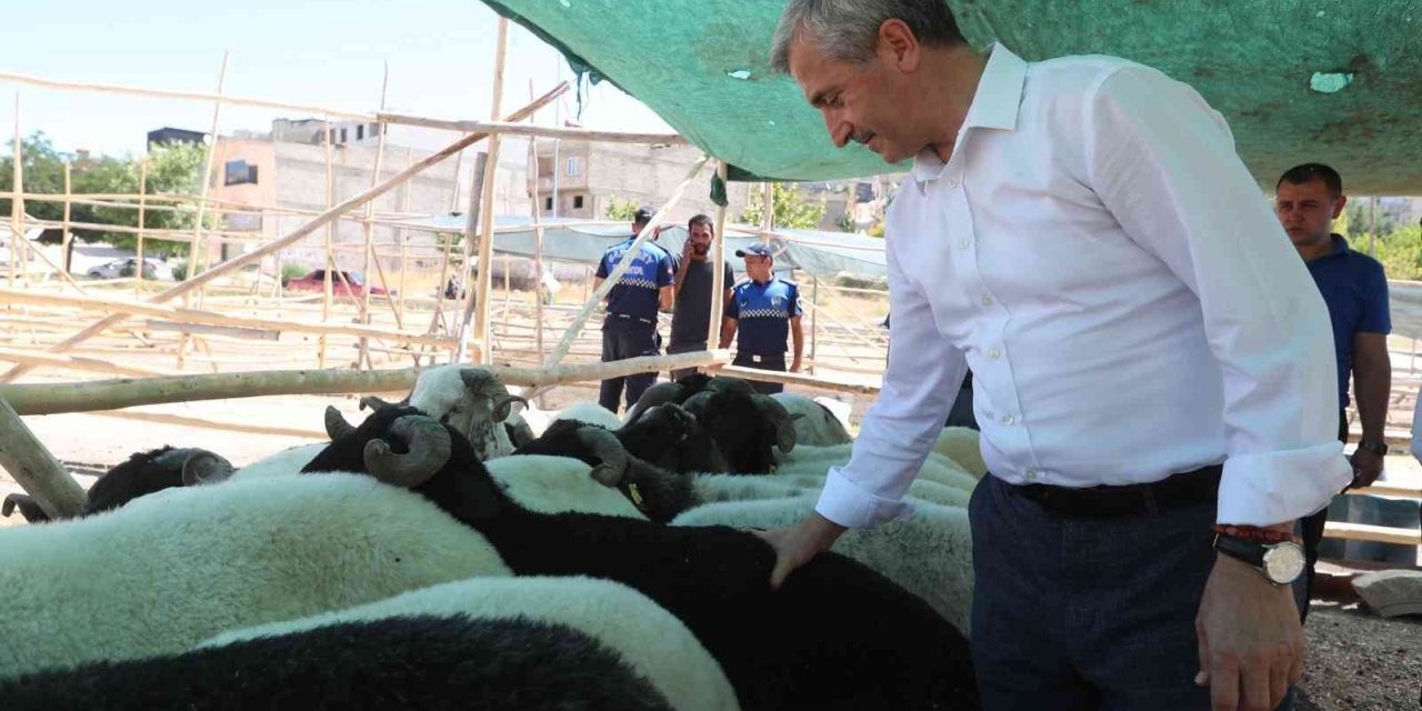 Şahinbey’de Kurban Satış Ve Kesim Yerleri Belirlendi