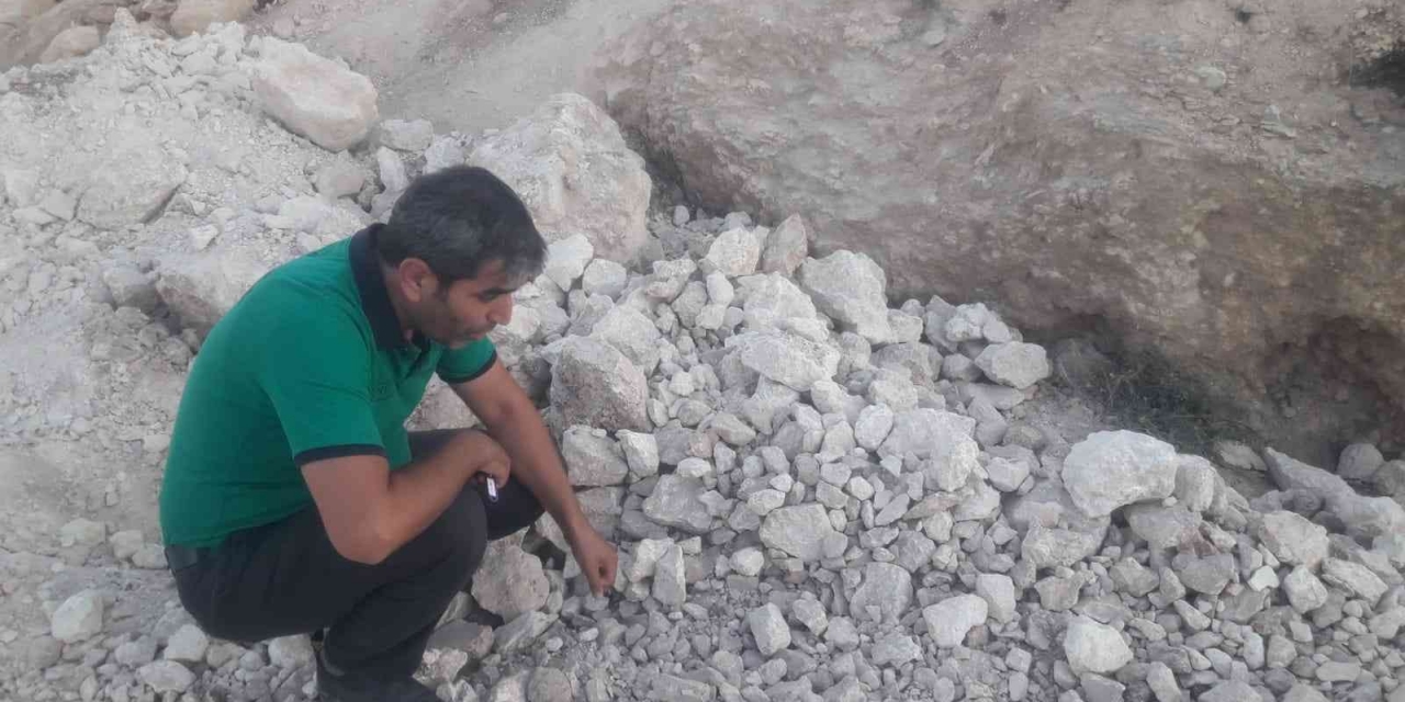 Molozların Altında Sıkışan Yavru Köpekleri Ekipler Kurtardı