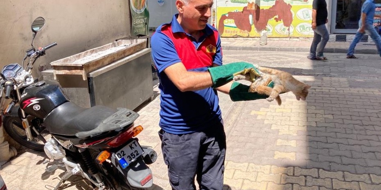Motosiklet İçerisine Sıkışan Kediyi İtfaiye Ekipleri Kurtardı