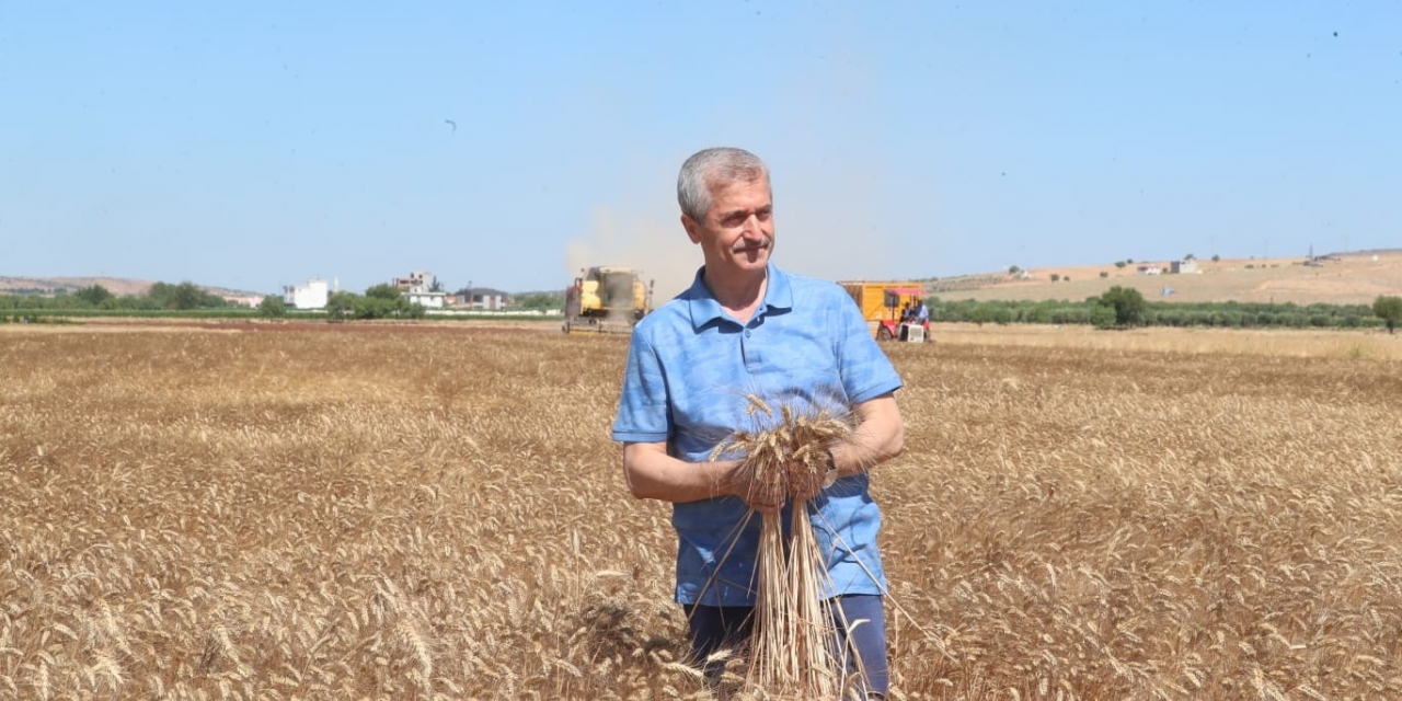 Başkan Tahmazoğlu Çiftçinin Hasat Sevincine Ortak Oldu