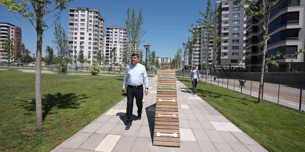 Pet Park 2, Halkın Hizmetine Sunuldu