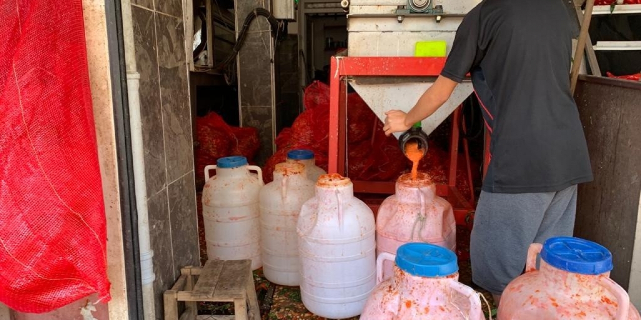 İşletmelerin Salça Mesaisi Başladı