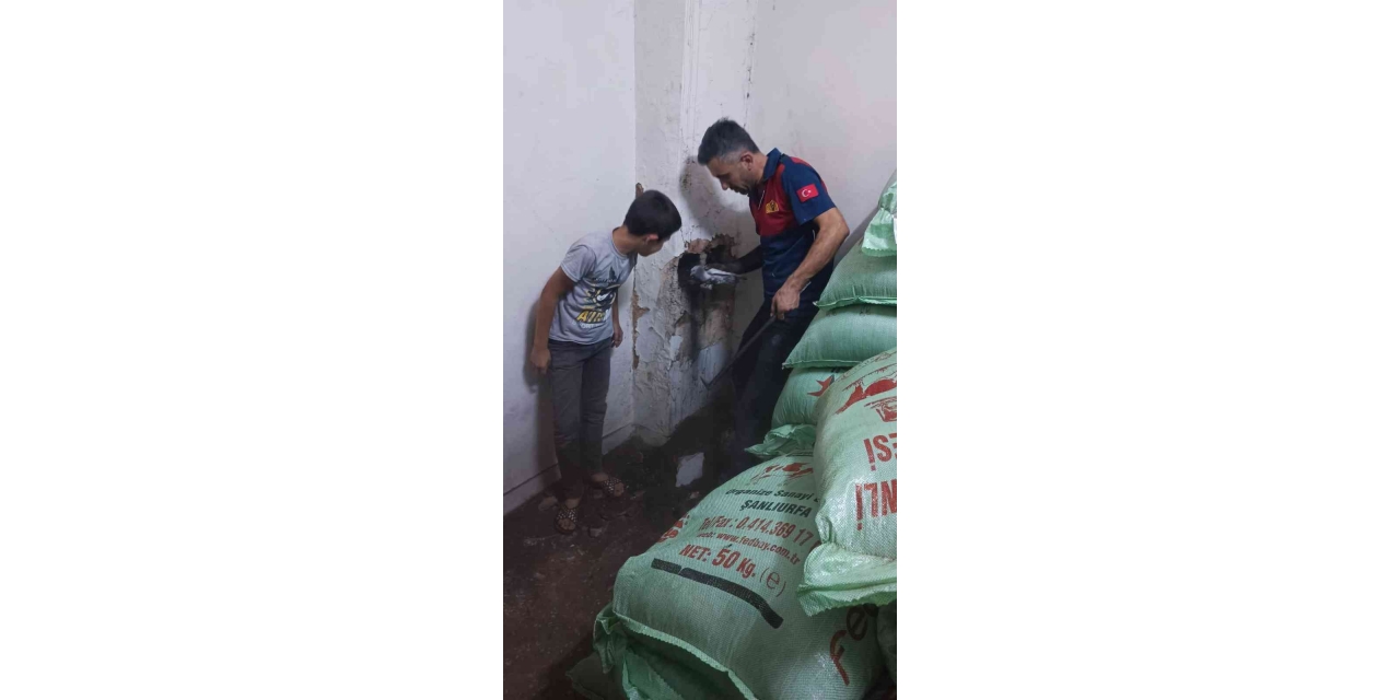 Bacaya Sıkışan Kedi Kurtarıldı