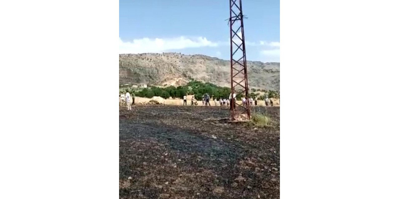 Akıma Kapılan Karga Yangına Neden Oldu
