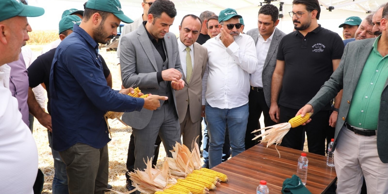 Yenişehir İlçesinde Mısır Hasadında Rekolte 30 Bin Tonu Geçti