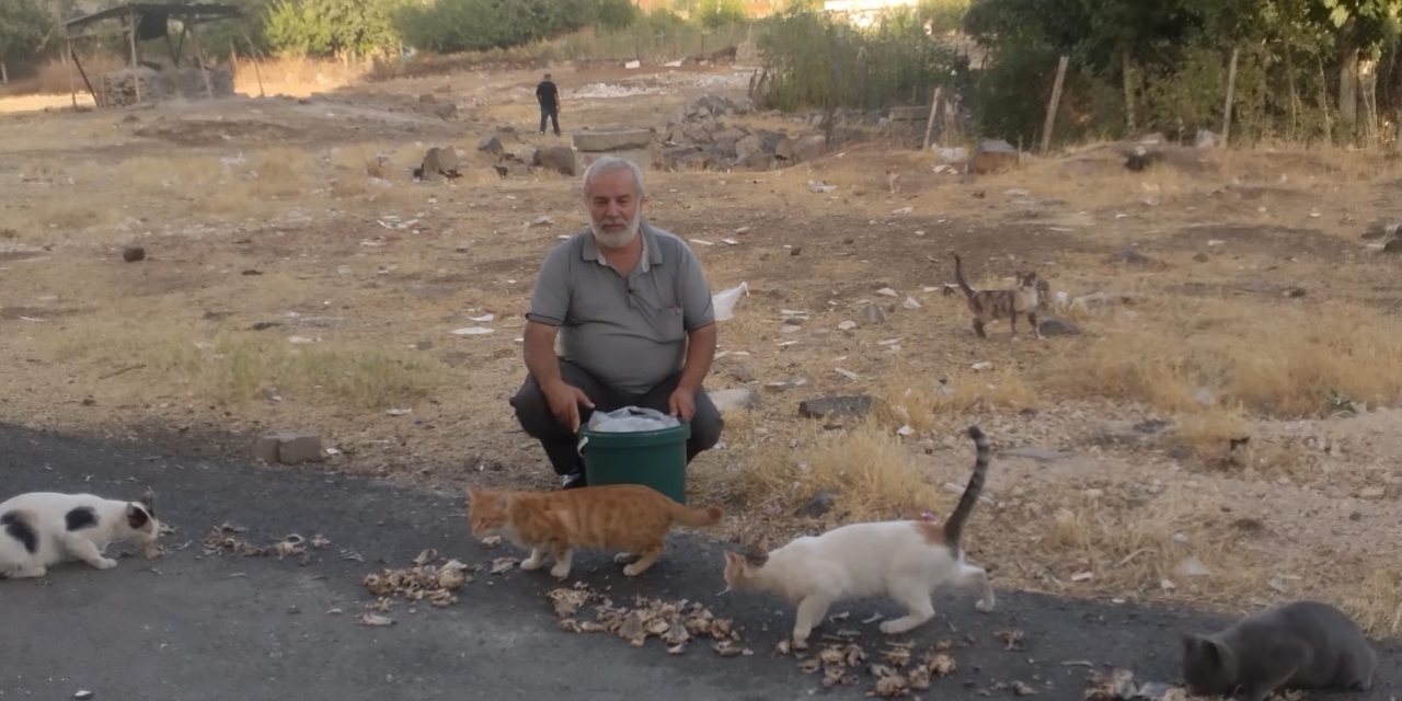 Diyarbakır’ın Derman Baba’sı Sokak Hayvanlarını Unutmadı