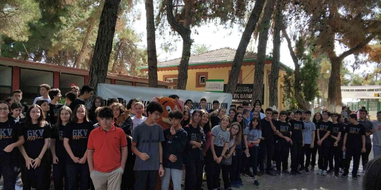 Gkv’li Öğrencilerinden Hayvanlara Mama Desteği