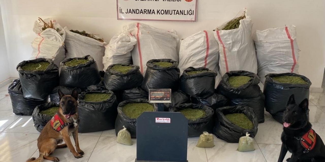 Gaziantep’te 235 Kilo Kubar Esrar Ele Geçirildi