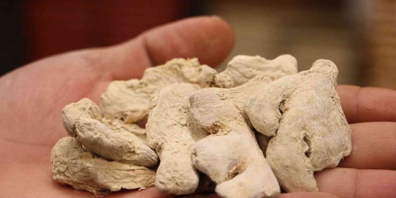 Uzmanından Mide Ve Sindirim Dostu Zencefilin Kullanım Şekli Uyarısı